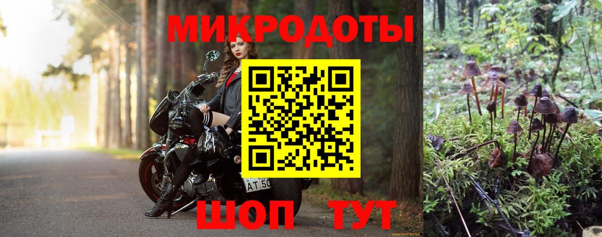 Галлюциногенные грибы Psilocybine cubensis  Вход с VPN  даркнет сайт  Камень-на-Оби 