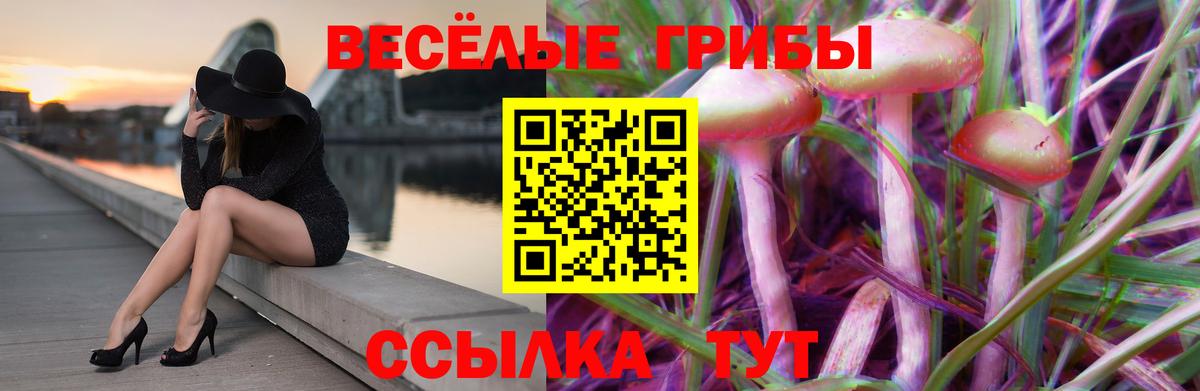 Псилоцибиновые грибы Magic Shrooms Камень-на-Оби